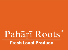 Pahari Roots