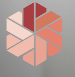 Pals Global Solutions
