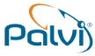 Palvi