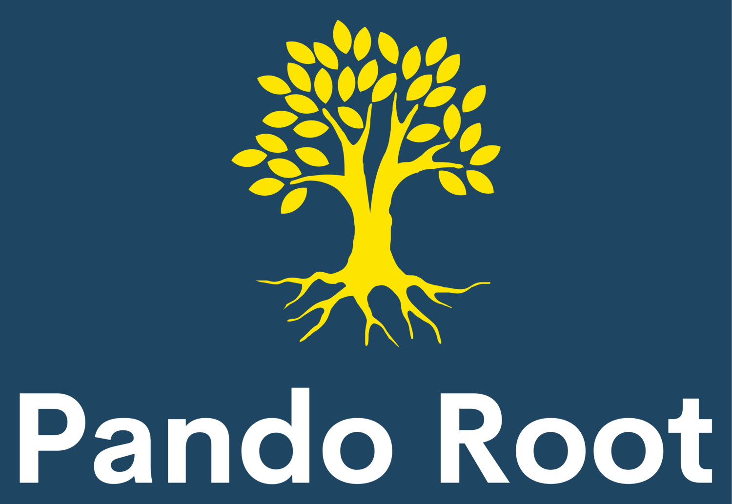 Pando Root