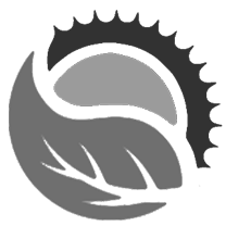 Paras Group