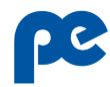 Parasrampuria Engineers