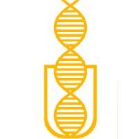 Particella