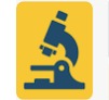 Pathkind Labs