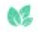 Payleaf Solutions