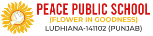 Peace Public School