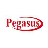 Pegasus