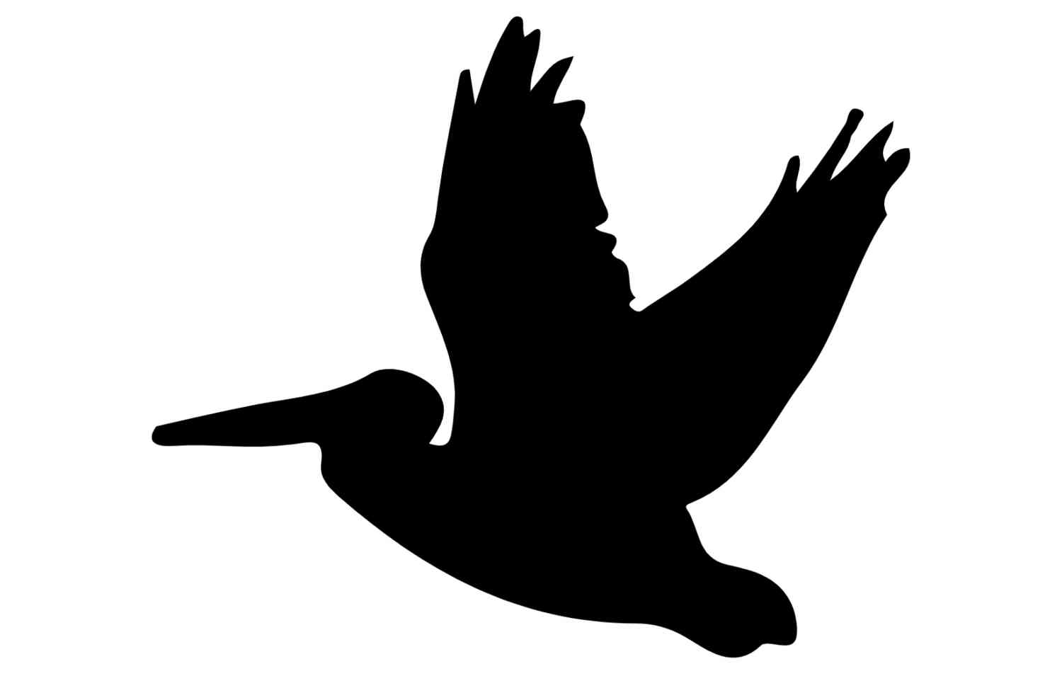 Pelican Insights