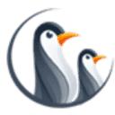 Penguins Academy