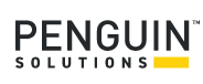 Penguin Solutions