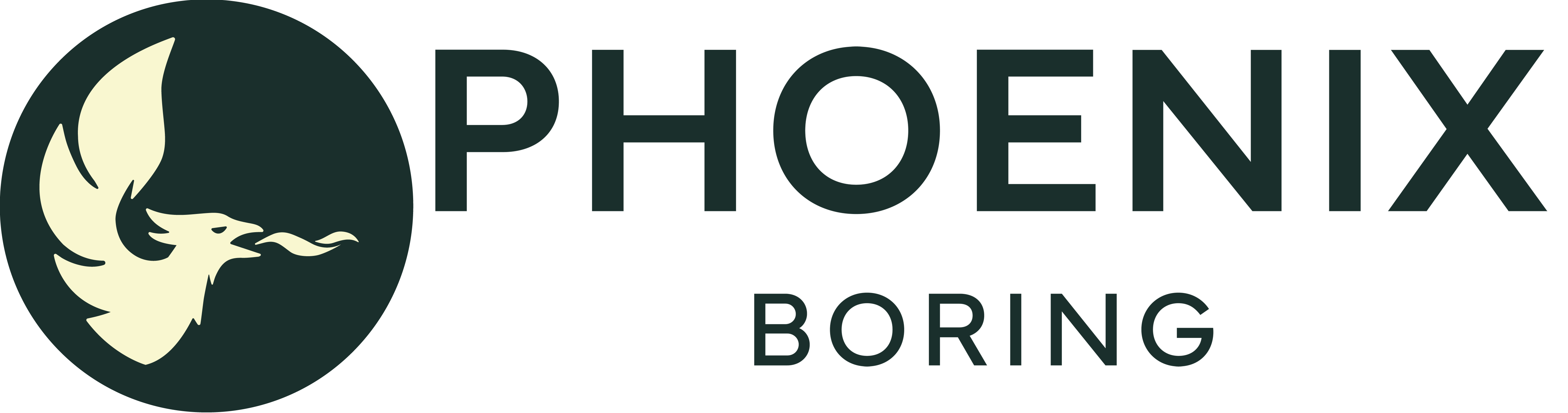 Phoenix Boring