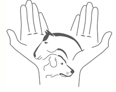 Dog Sports & Animal Physiotherapy Center Wrann