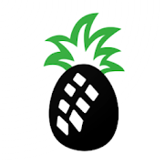 Pineapple Iot