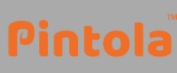 Pintola
