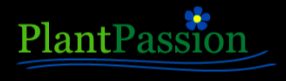 Plantpassion