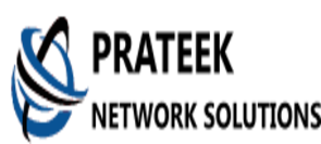 Pnsfiber