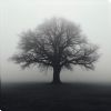 Poison Tree