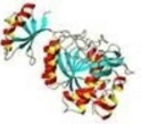 Potomac Affinity Proteins