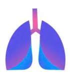 Prana Thoracic