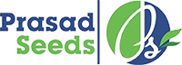 Prasad Seeds