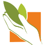 Prasatti Herbal Organic