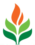 Primove Engineering