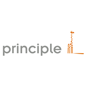 Principle