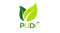 Pudi