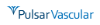 Pulsar Vascular