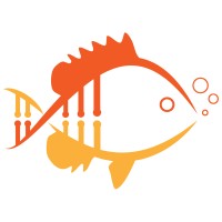 Pumpkinseed