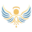 Pune Angels Network
