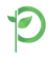 Purify Herbs