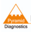 Pyramid Diagnostics