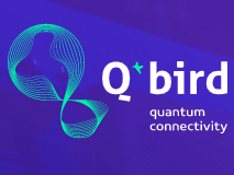 Q*bird