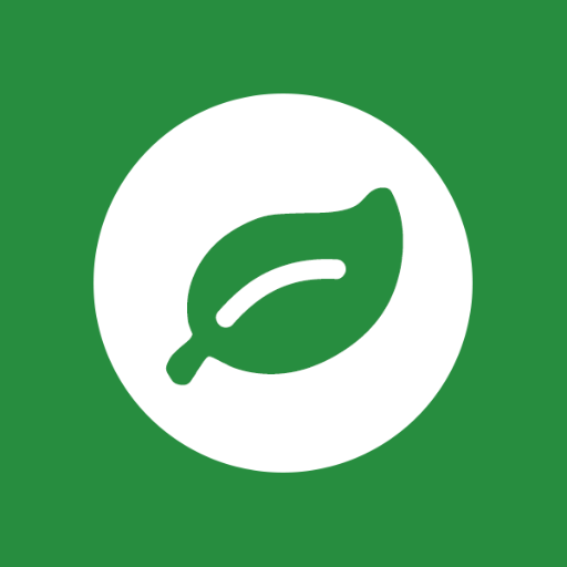 Rainforest Qa