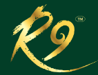 Rakhi Fashion