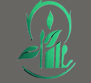 Ranaparna International