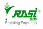 Rasi Seeds