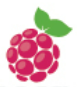 Raspberry