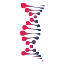 Redcliffe Labs
