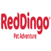 Red Dingo