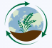 Regencrops