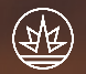 Revel Technologies