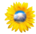 Rinova Solar