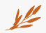 Sage Hill Capital