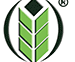 Sai Bhavya Seeds