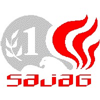 Sajag Securities