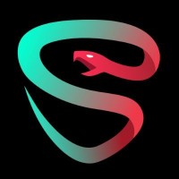 Salus Security