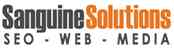 Sanguine It Solutions India