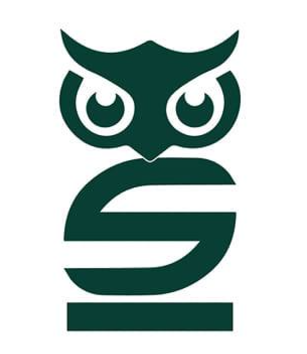 Sapient Finserv